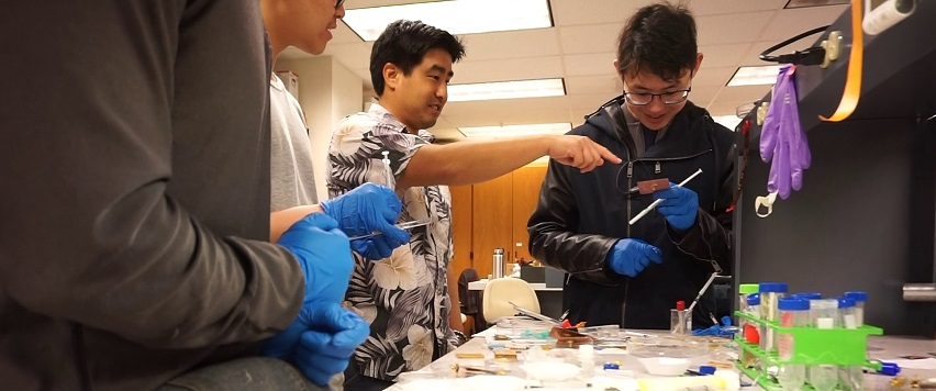 Professor Ohta working with students in research lab